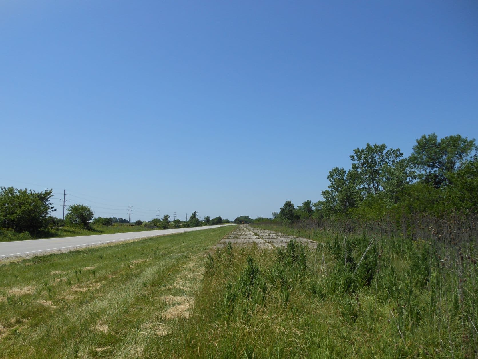 Paved Route 66 road with weeds near Dwight, IL