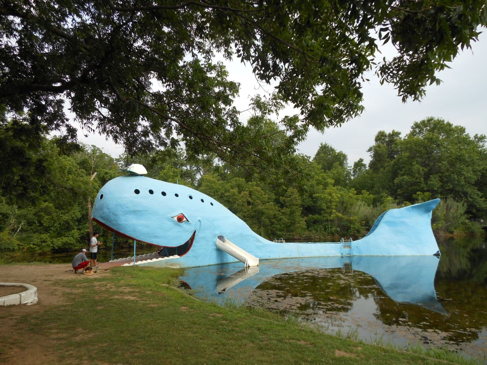 Catoosa, OK - Blue Whale