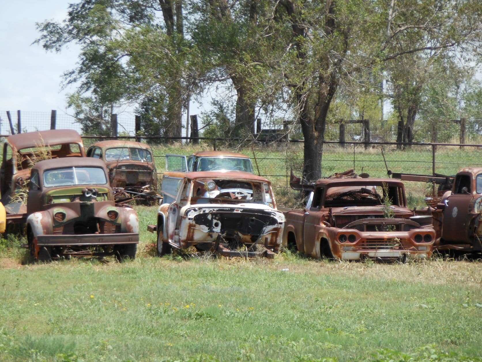 Auto Graveyard - I see a 1960s Chevy pickup truck