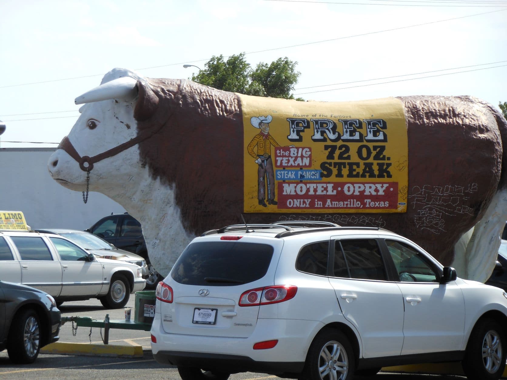 Amarillo, TX - That's a lot of bull!