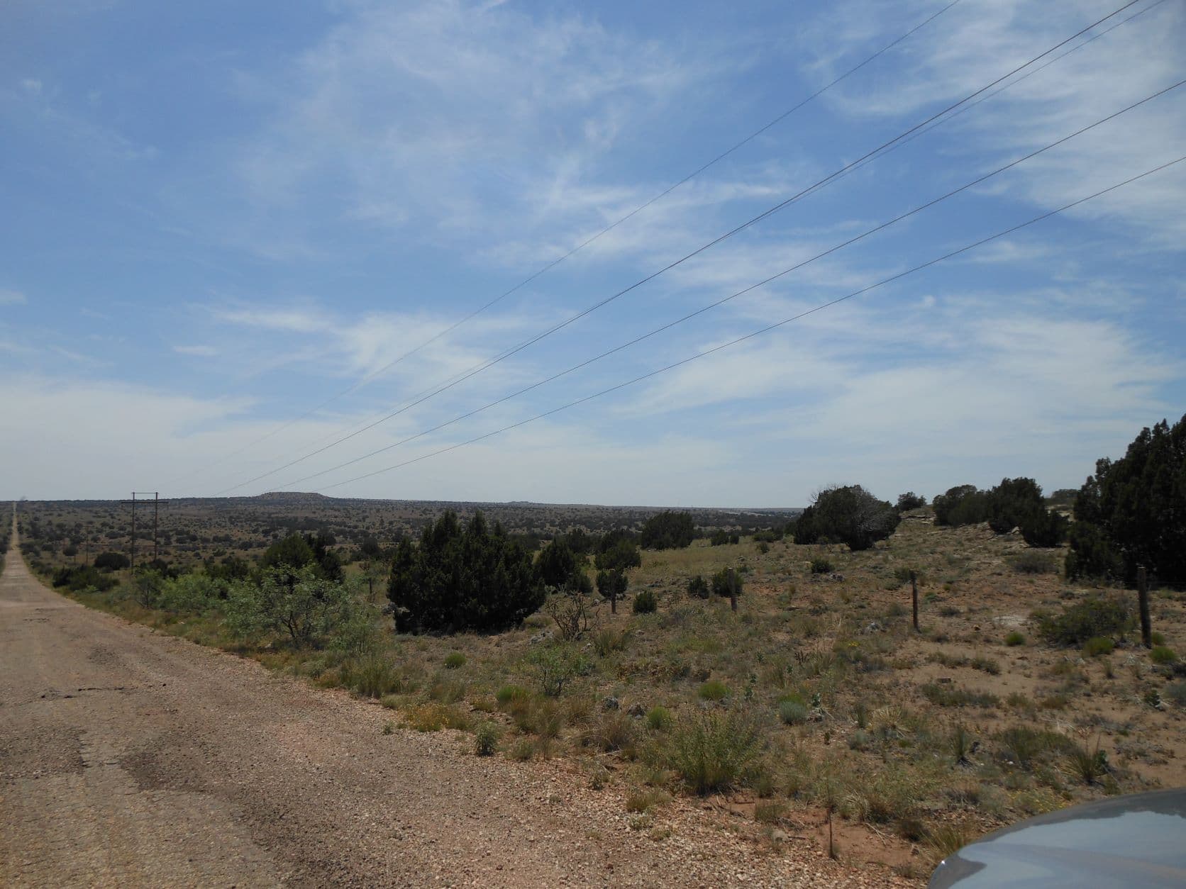 Desert prairie - Cuervo Cutoff - Route 66, NM