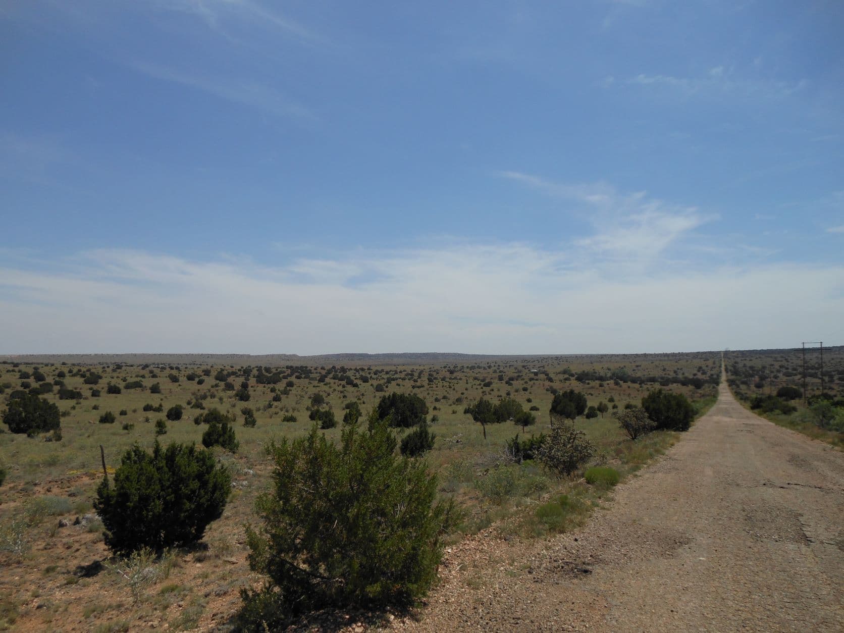 Desert prairie - Cuervo Cutoff - Route 66, NM