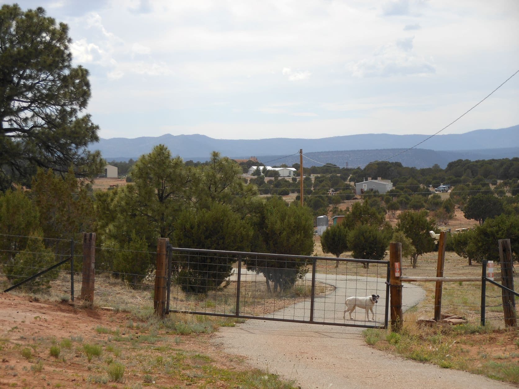 He wants to say "Hi". Or he wants to keep strangers away... - Road to Santa Fe, NM