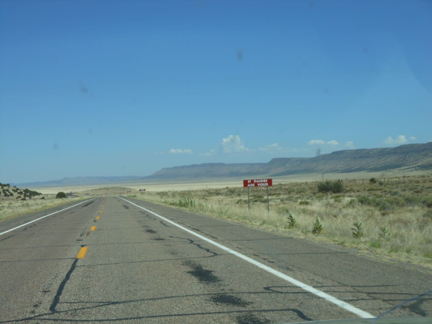 Burma-Shave - If daisies are your favorite flower...