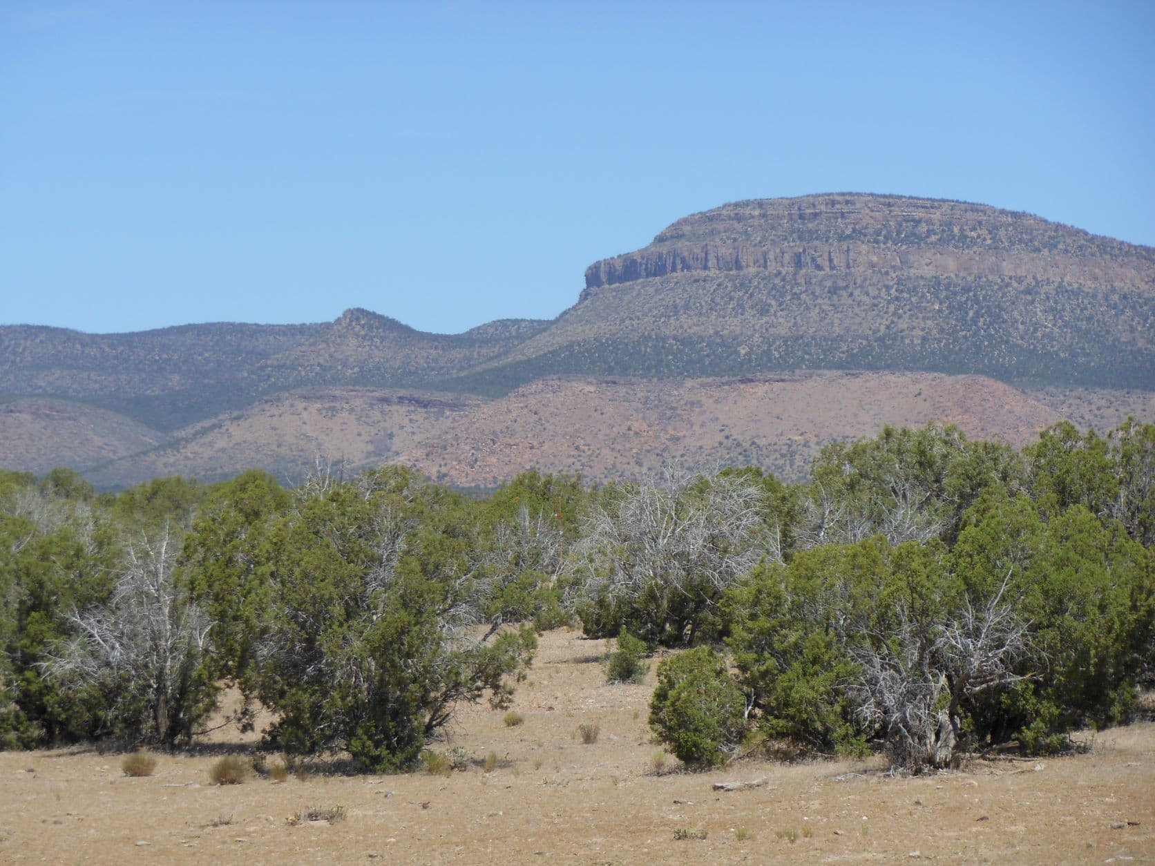 Desert mesa - Road to Hackberry, AZ