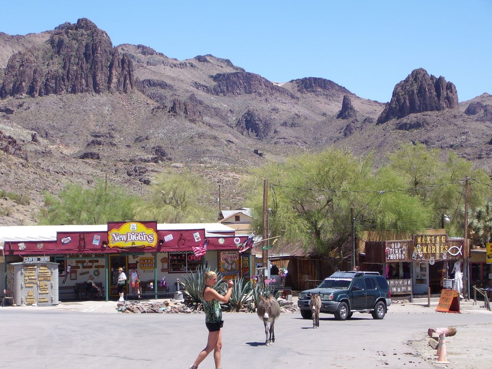 Donkeys in town - Oatman, AZ