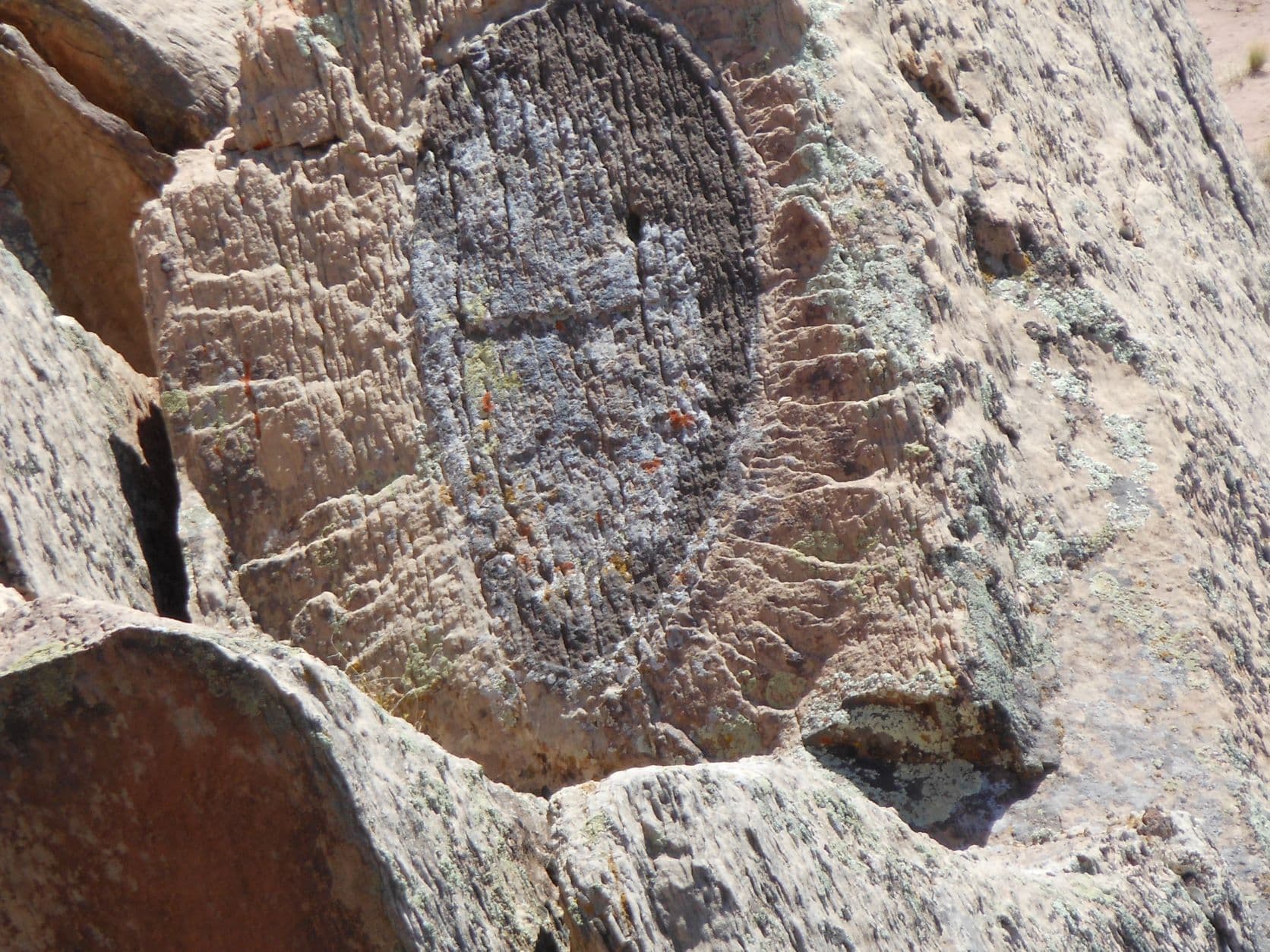 Petroglyph in the AZ desert