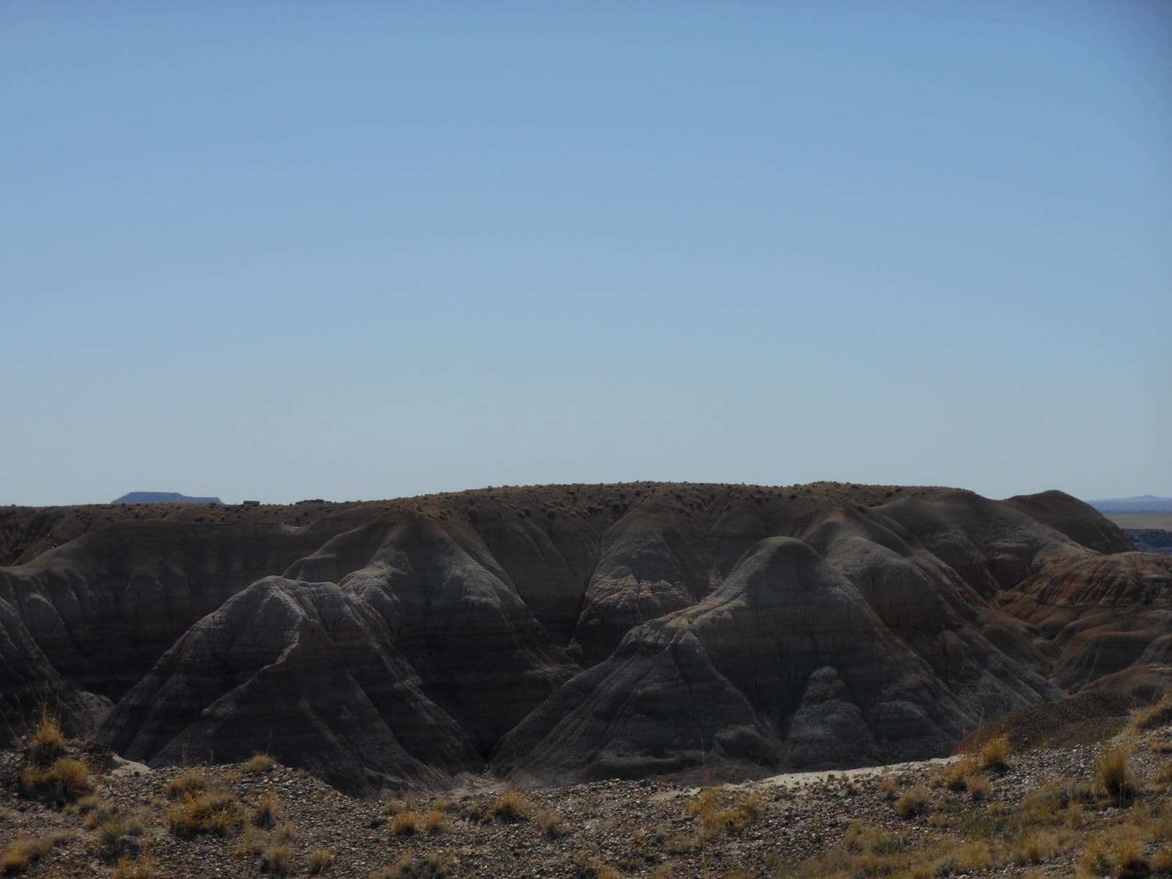 Badlands - Petrified Forest, AZ