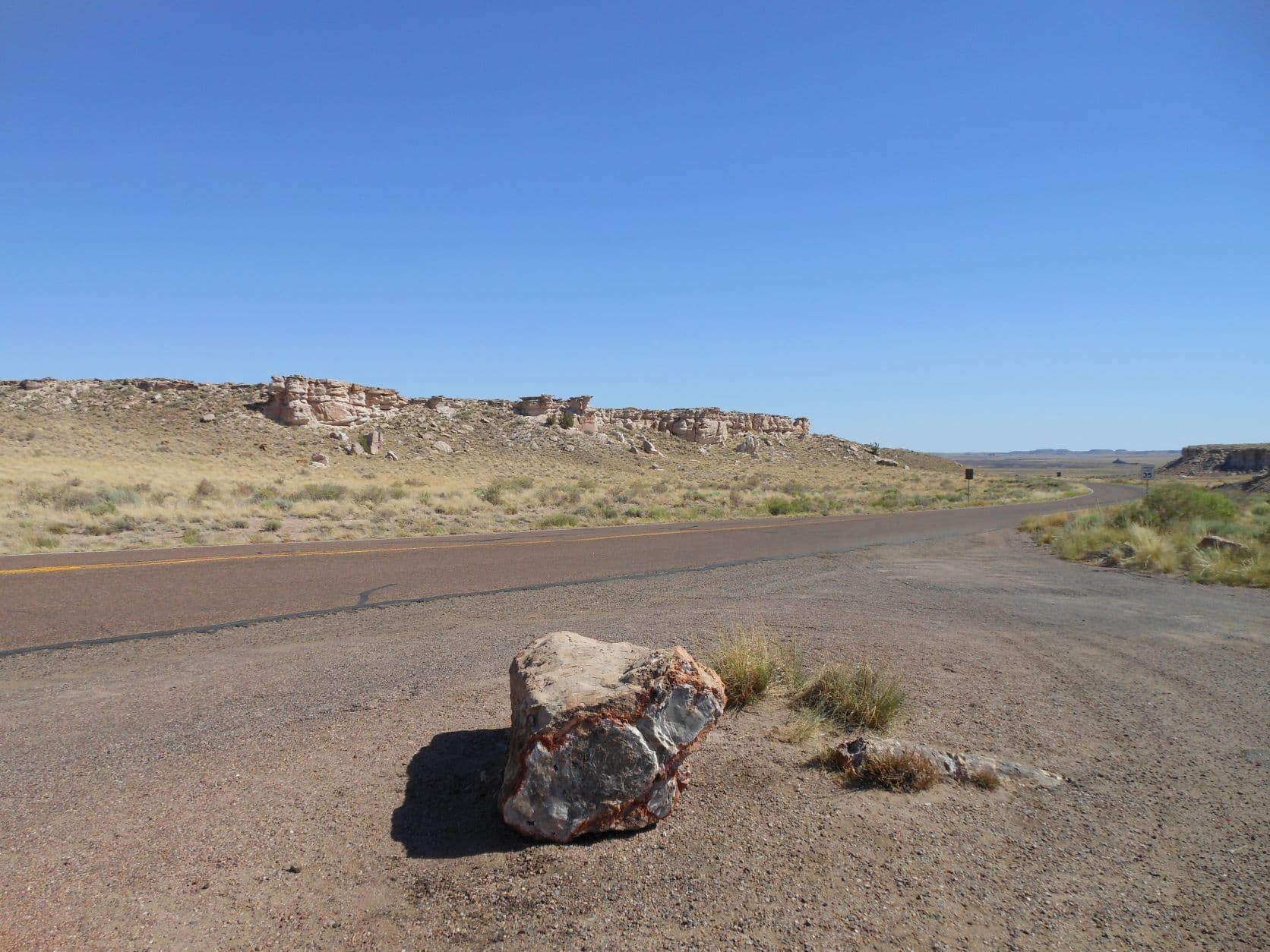 Petrified tree - Petrified Forest, AZ