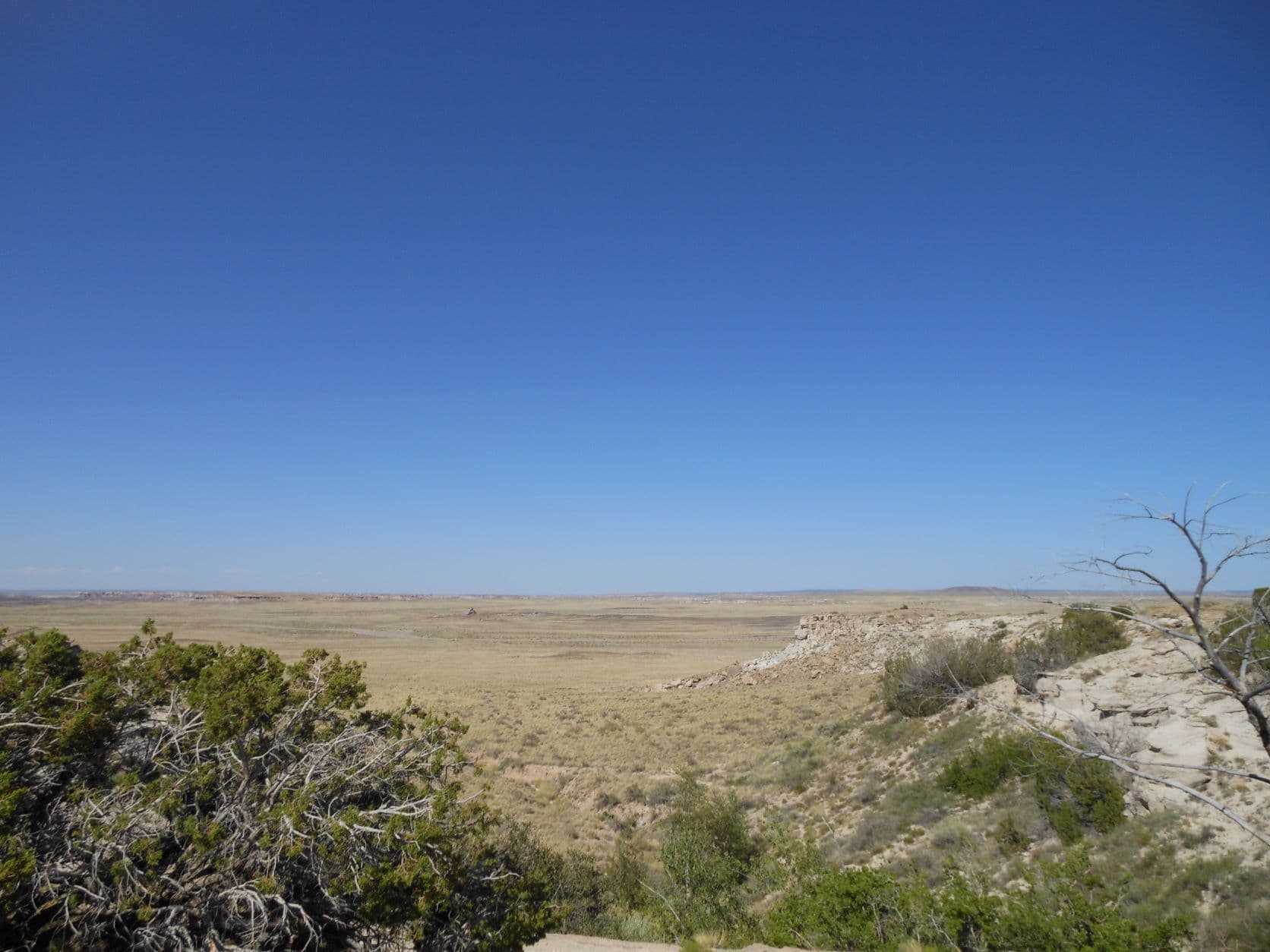 Badlands - Petrified Forest, AZ
