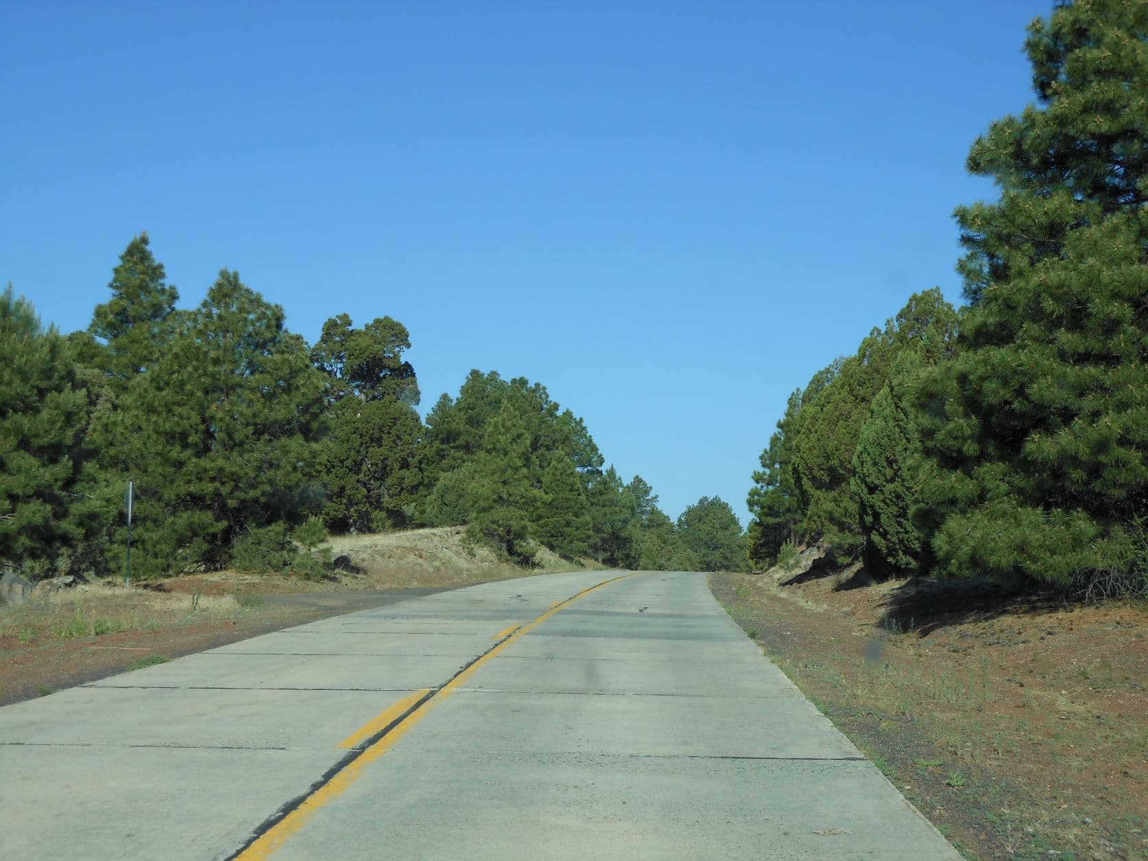 Route 66 through pine forest - Road to Williams, AZ