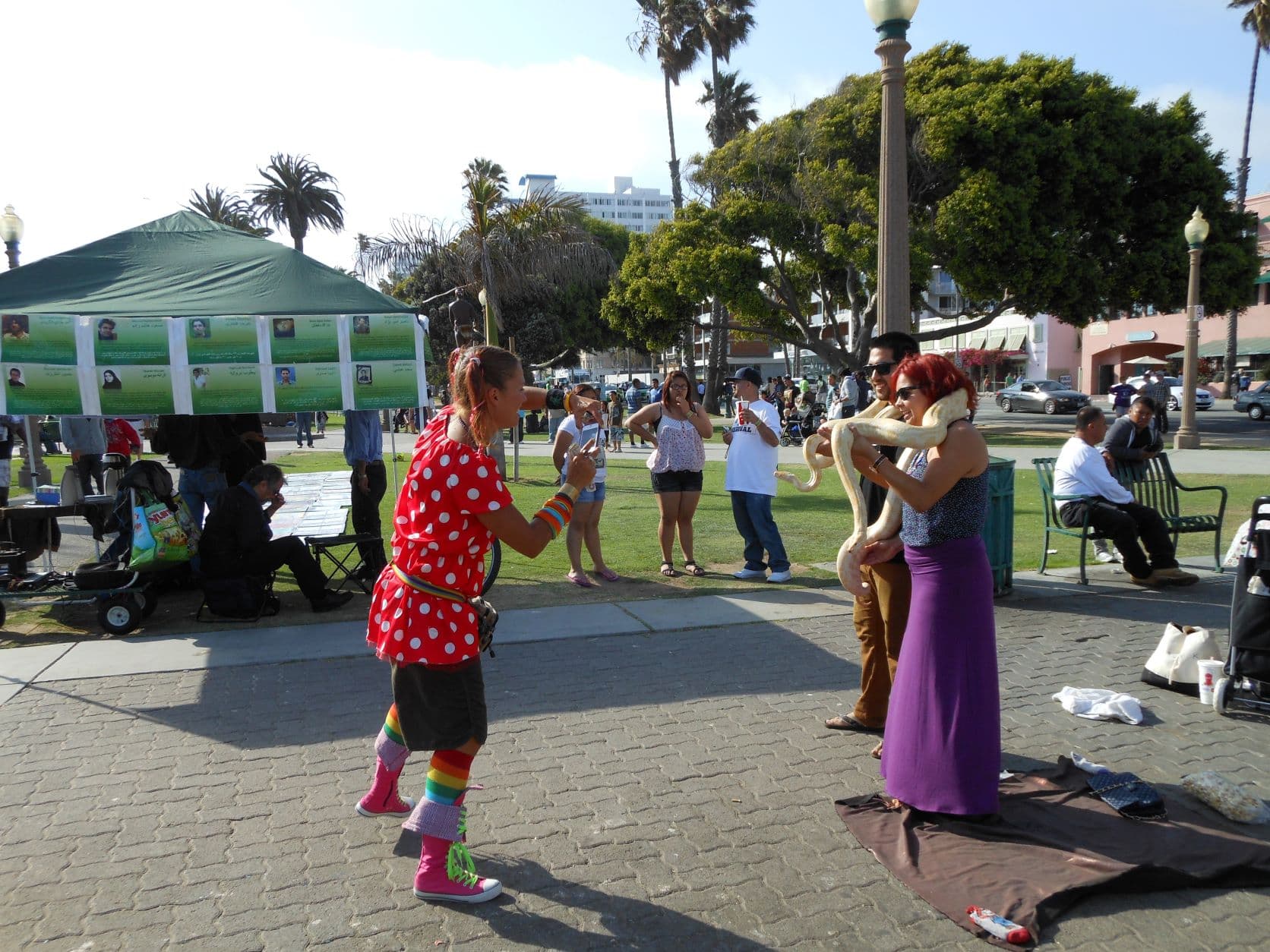Snake Lady Portraits - Santa Monica, CA